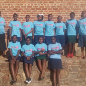 education girls zimbabwe